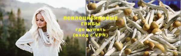 mix Алексеевка