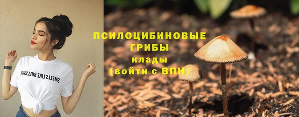 спиды Кукмор