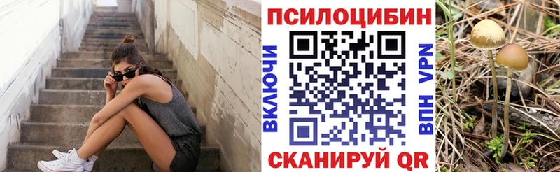 Галлюциногенные грибы мицелий  Хотьково 